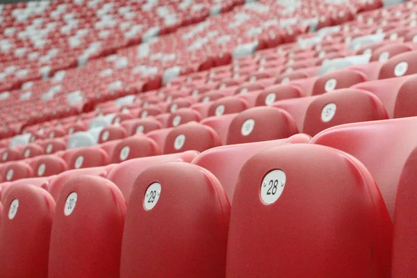 View Empty Benches Sport Stadium — Stock Photo, Image