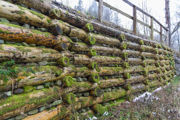 Mos Bedekte Houten Logboeken Berg Heuvel — Stockfoto