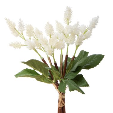 beyaz arkaplanda yaprakları olan yapay çiçekler  