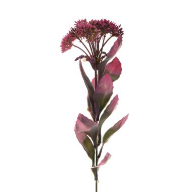 Beyaz arkaplanda yaprakları olan yapay bir çiçek  