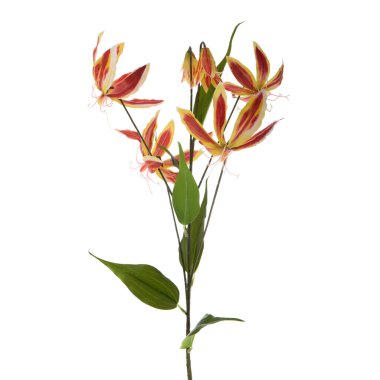 beyaz arkaplanda yaprakları olan yapay çiçekler  