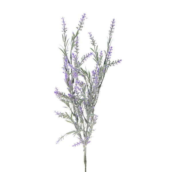 Färg Konstgjorda Blommor Med Blad Isolerade Vit Bakgrund — Stockfoto