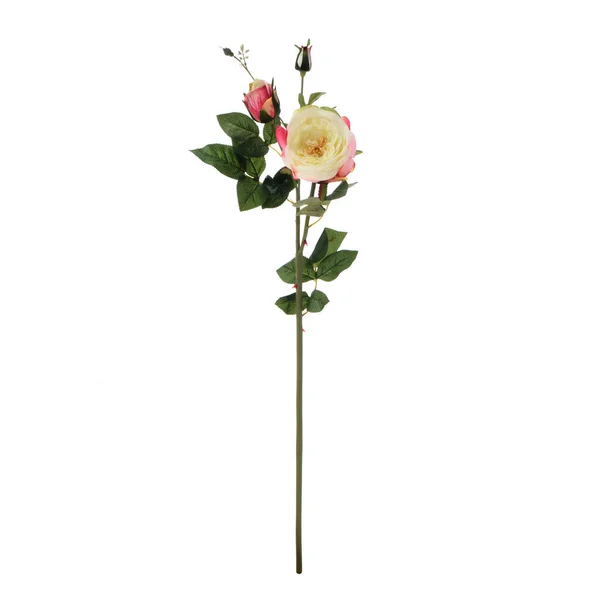 Кольорові Штучні Троянди Квіти Листям Ізольовані Білому Тлі — стокове фото