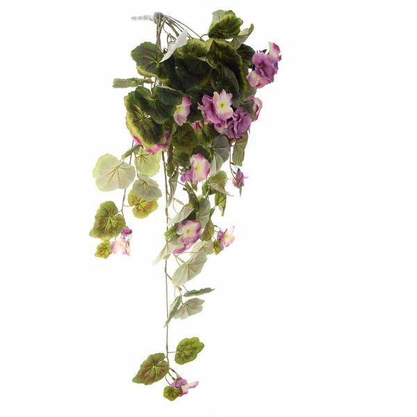 Кольорові Штучні Квіти Листям Ізольовані Білому Тлі — стокове фото