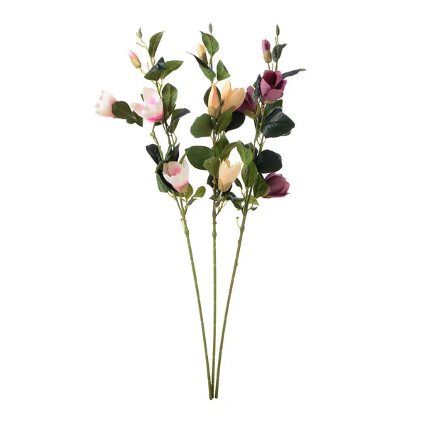 Cor Flores Rosas Artificiais Com Folhas Isoladas Fundo Branco — Fotografia de Stock
