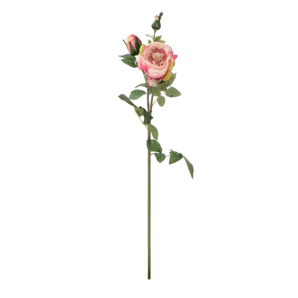 Farbe Künstliche Rosen Blumen Mit Blättern Isoliert Auf Weißem Hintergrund — Stockfoto