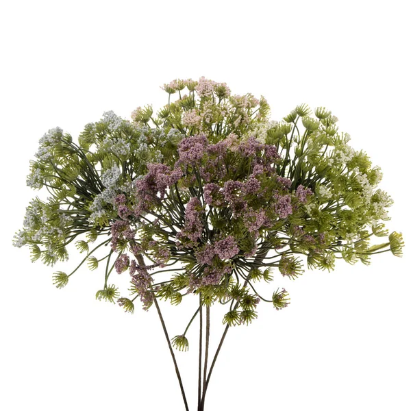 Farbe Künstliche Blumen Mit Blättern Isoliert Auf Weißem Hintergrund — Stockfoto