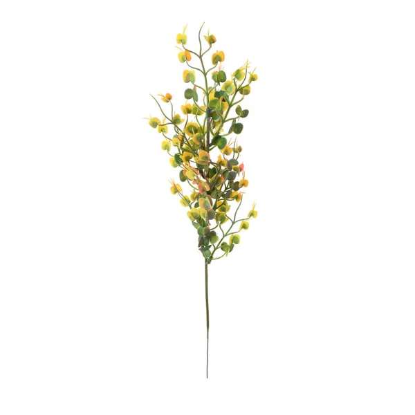 Colore Fiori Artificiali Con Foglie Isolate Sfondo Bianco — Foto Stock