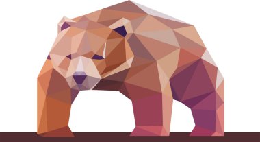 zekâ üçgenler yapılan ayı