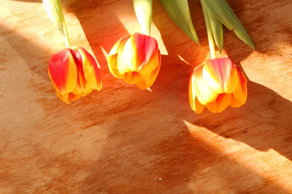 Close Tulipas Uma Velha Mesa Madeira — Fotografia de Stock