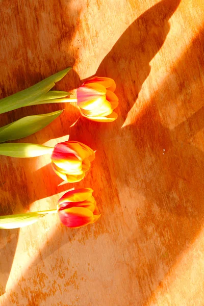 Zbliżenie Tulipany Starym Drewnianym Stole — Zdjęcie stockowe