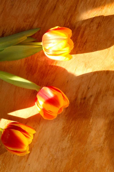 Close Tulipas Uma Velha Mesa Madeira — Fotografia de Stock