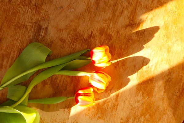 Zbliżenie Tulipany Starym Drewnianym Stole — Zdjęcie stockowe