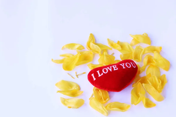 Close-up - red heart lies on the yellow petals of a tulip. Stock Picture