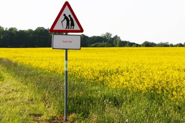  Yaşlı adam ve kadın geleceğe gidiyor..