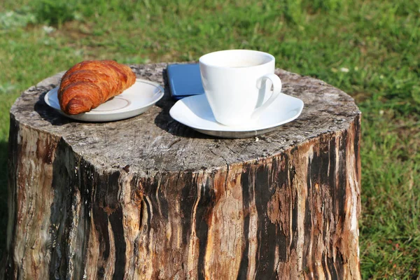 Woman in the summer has breakfast in a summer — Stock Photo, Image