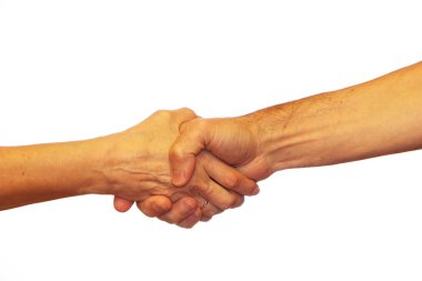 İş ortaklarının başarılı bir anlaşması var