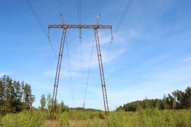 Mavi gökyüzüne ve yaz doğasına karşı yüksek voltajlı elektrik hatları. Güç Dağıtım İstasyonu.