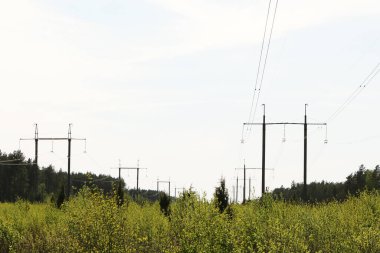 Mavi gökyüzüne ve yaz doğasına karşı yüksek voltajlı elektrik hatları. Güç Dağıtım İstasyonu.