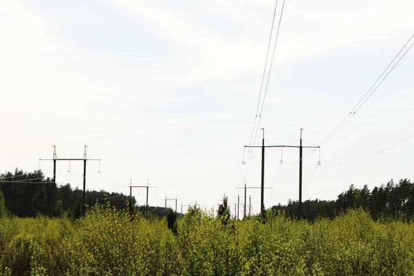 High voltage power lines against the blue sky and summer nature. Power Distribution Station.
