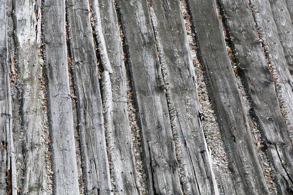 Beautiful Texture Old Wood Background Gray — Stock Photo, Image