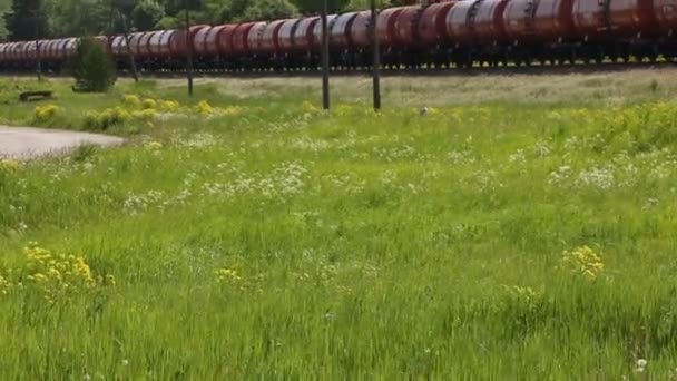 Il treno trasporta prodotti petroliferi in cisterne — Video Stock