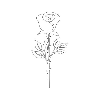 Devamlı çizgi çizimi. Gül. Çiçek. Beyaz arka planda siyah izole edilmiş. El çizimi vektör illüstrasyonu. 