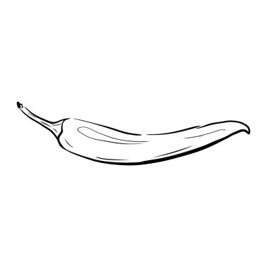 Chili Pepper çizim vektör çizimi. El yapımı acı biber beyaz arka planda izole edilmiş. Organik sebze çizimi. Mürekkep stili. Menü, simge, çiftçi pazarı, market, market, baskı için.
