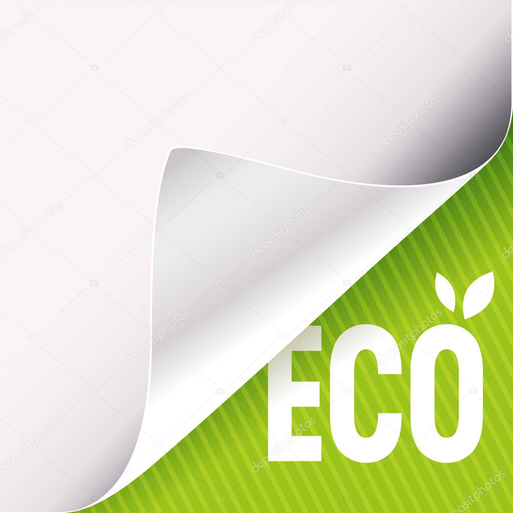 Curled corner of white paper on a green right bottom angle background. Eco slogan sign with leaves. Vector illustration.