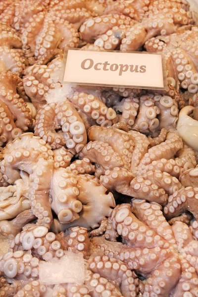 Fresh Octopus Sale Traditional Fish Market — Stock Photo, Image