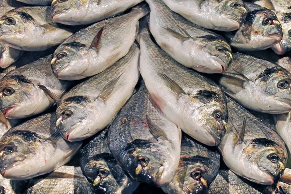 Sale Traditional Fish Market — Stock Photo, Image