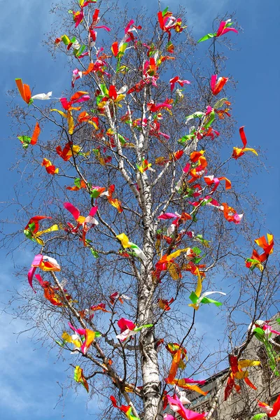 Traditionell Geschmückter Tschechischer Osterbaum Nahaufnahme Prag Tschechische Republik Europa — Stockfoto