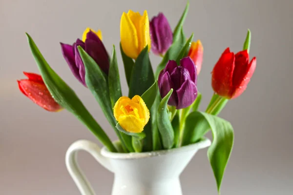 Ramo Tulipanes Multicolores Frescos Con Gotas Rocío Jarra Blanca — Foto de Stock