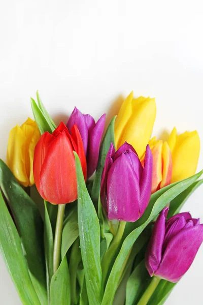 Buquê Tulipas Multicoloridas Frescas Close — Fotografia de Stock