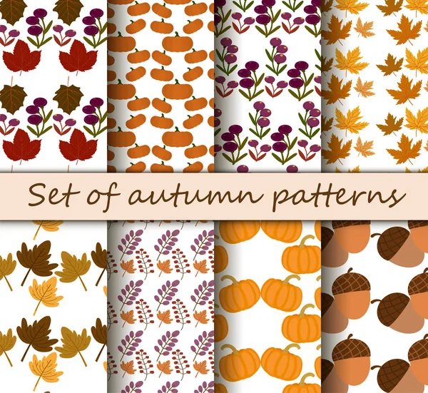 Kesintisiz Daire sonbahar desenleri büyük bir set.