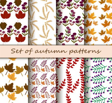 Sonbahar yaprakları ve sonbahar meyveleri ile vektörel çizimler şekillerinin büyük bir set.