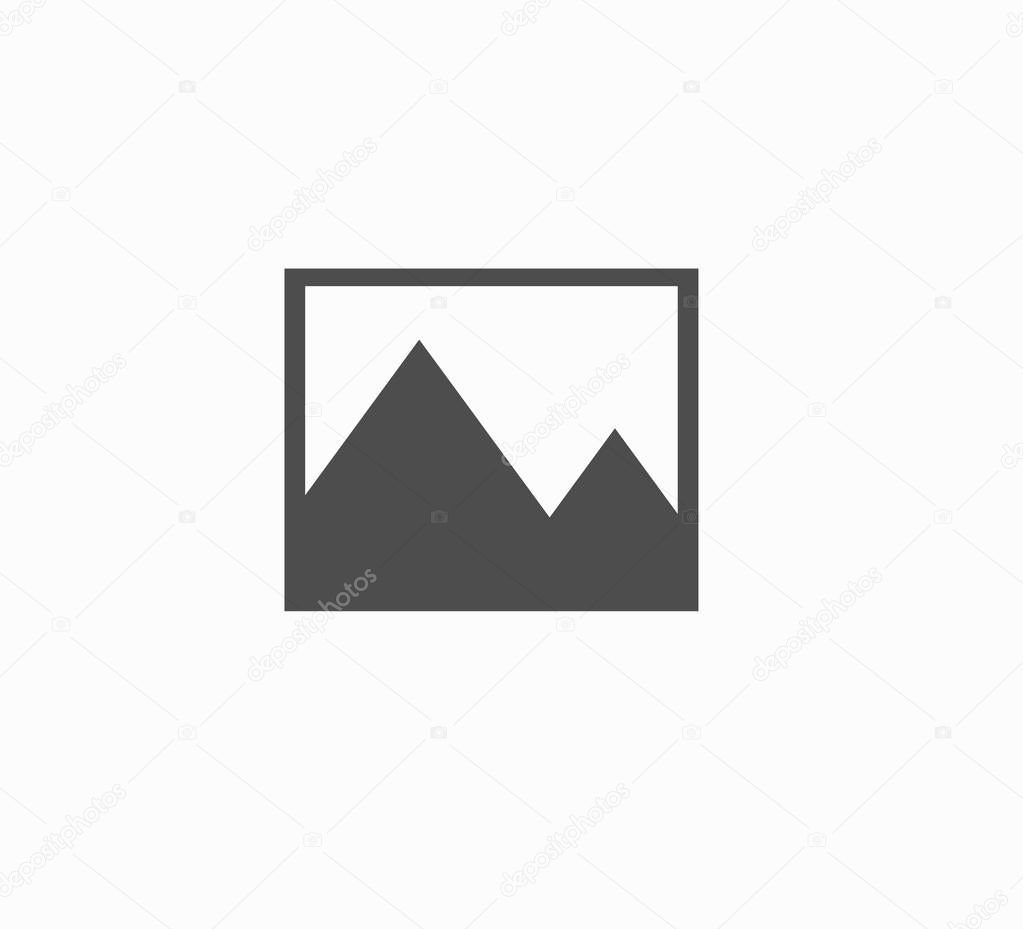 Monochrome, gray icon gallery icon for smartphone and web site.