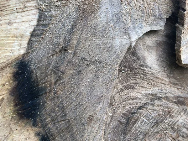 Textura Madera Paneles Antiguos Fondo Hermosa Madera Natural Vio Corte —  Fotos de Stock