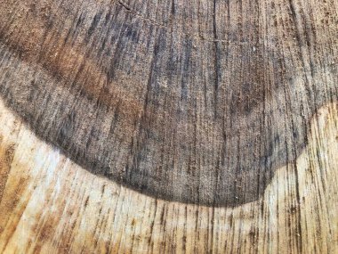 Eski sandığın kesimi yakından çekilir. Ağacın çekirdeği büyüme halkaları ve derin çatlaklardan oluşur..