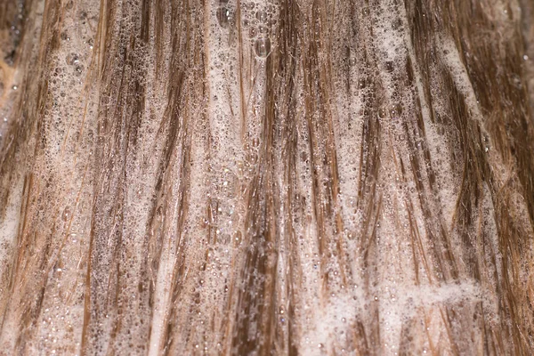 Temizlik ve saç güzelliği için saç yıkamak