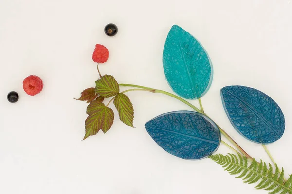 Silikon kalıplar için farklı renkler ve Foamiran üretimi için texturesmold Foamiran. Ev yaprakları ve yaprakları dekorasyon ve süsleme için