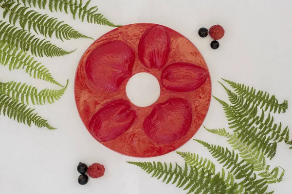 Silikon kalıplar için farklı renkler ve Foamiran üretimi için texturesmold Foamiran. Ev yaprakları ve yaprakları dekorasyon ve süsleme için