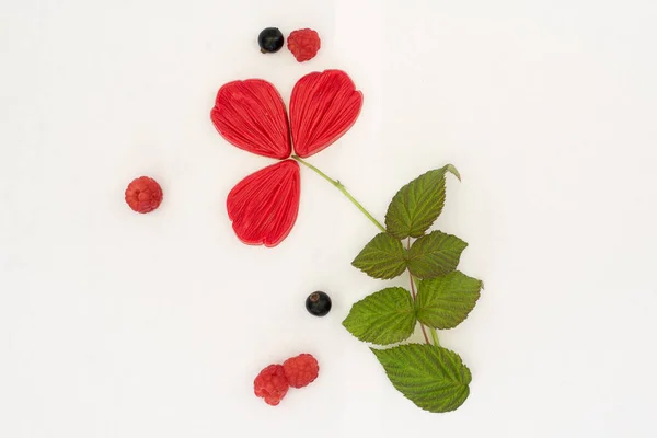 Silikon kalıplar için farklı renkler ve Foamiran üretimi için texturesmold Foamiran. Ev yaprakları ve yaprakları dekorasyon ve süsleme için