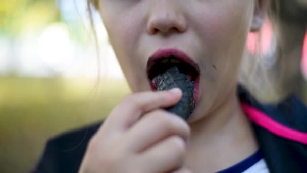 Bébé Fille Mangeant Crème Glacée Noire Dans Cône Gaufre Été — Video