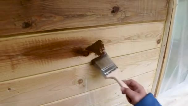 亚麻籽油涂装 粉刷木房子的墙壁为保存 秀丽和美学在居住的工作条件在房子里 — 图库视频影像