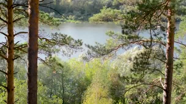 在风中摇曳的松树树枝在绿叶的背景下和流淌的蓝色河流的底部 — 图库视频影像