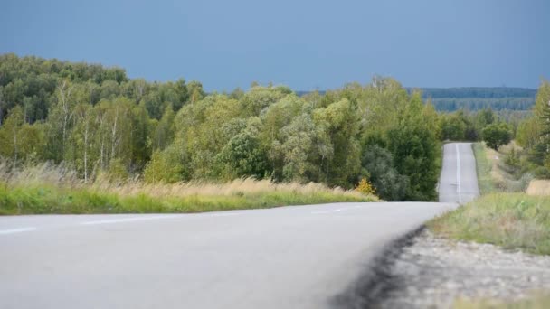 Die Straße Die Durch Die Hügel Des Waldes Führt Mit — Stockvideo