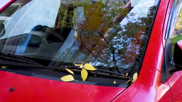 Folhas Amarelas Caem Sobre Carro Vermelho Preso Sob Limpadores Árvores — Vídeo de Stock