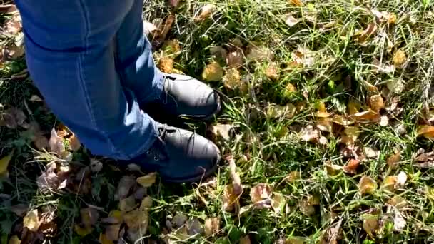 Las Piernas Botas Color Azul Oscuro Colocan Charco Hierba Pisa — Vídeo de stock