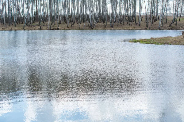 Nehir akar eski söğüt ağaçlarının altında kendi dallarında suya eğildi. 